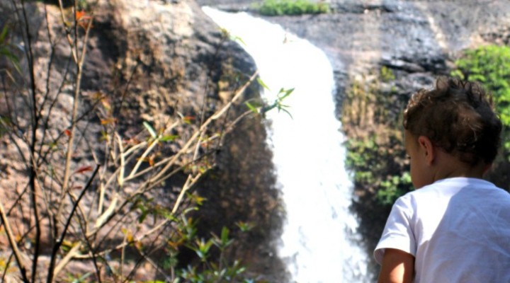 Just a picture