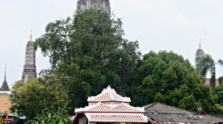 Bangkok culturale: il Wat Arun o Tempio dell’Alba