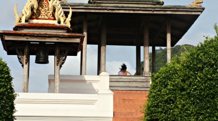 Il Nong Nooch Garden di Pattaya: per grandi e bambini