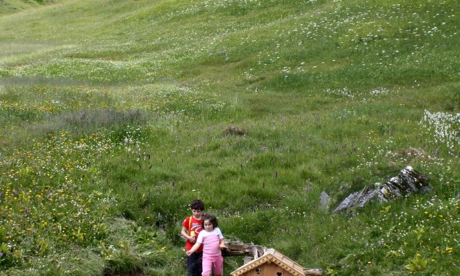 Ricordi di un’estate che sembra già lontana