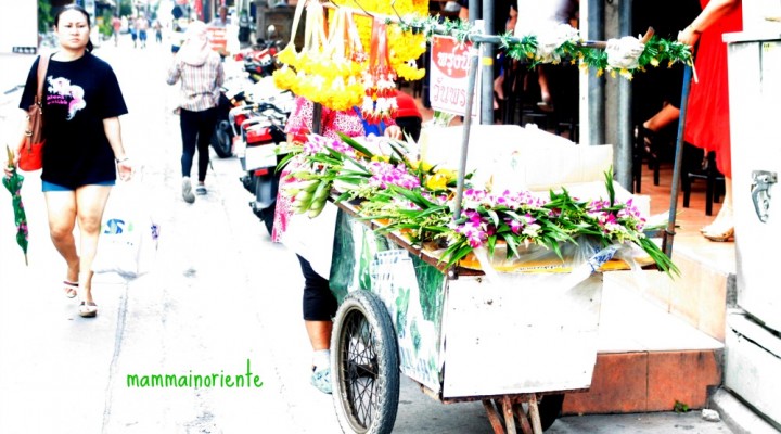 Vivere in parallelo fra realtà e fotografia nei miei #365giornidiThailandia