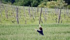 Top post dal mondo expat  #18.4.16