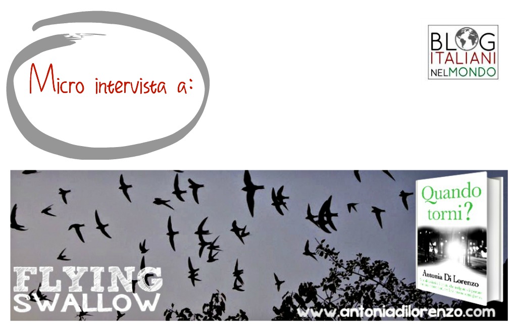 Micro intervista a Flying Swallow